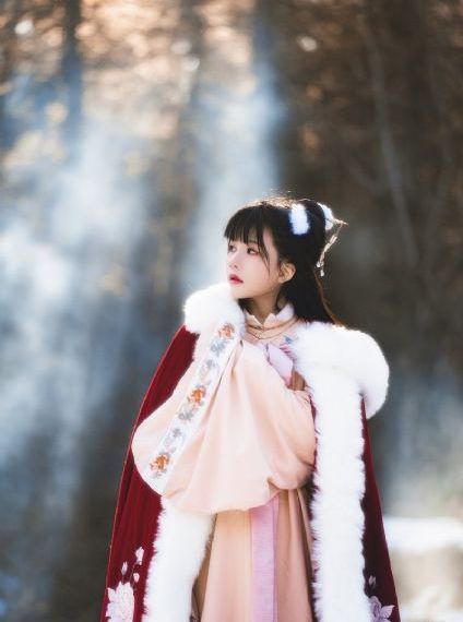 女人是男人未来的人_BD英语动漫在线观看